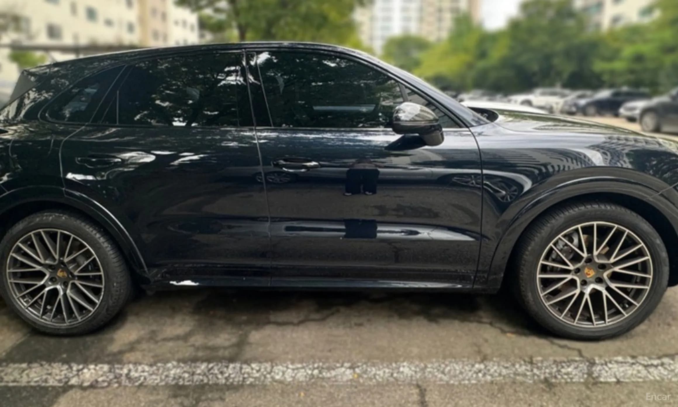 Cayenne (PO536)