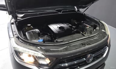 Rexton Sports