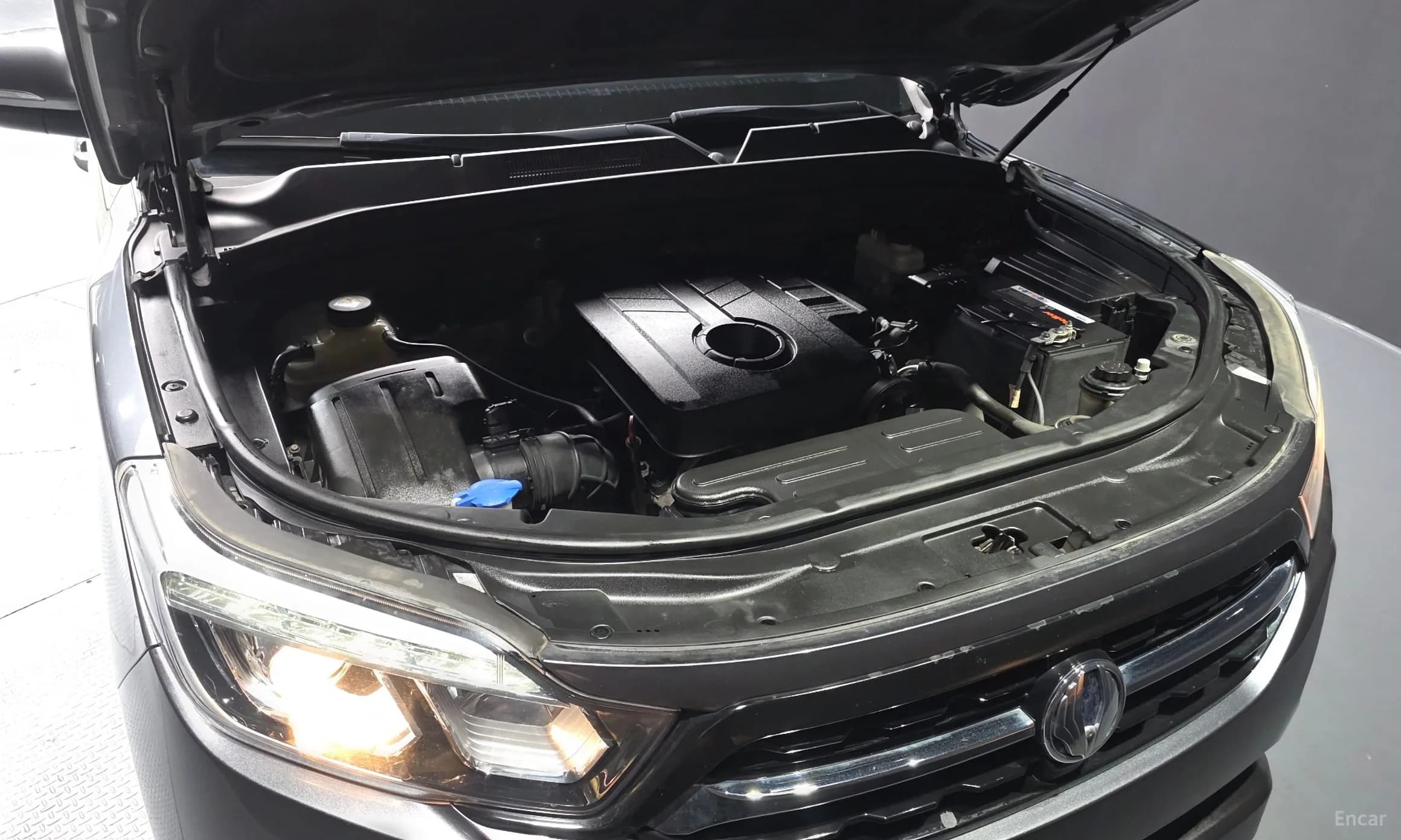 Rexton Sports