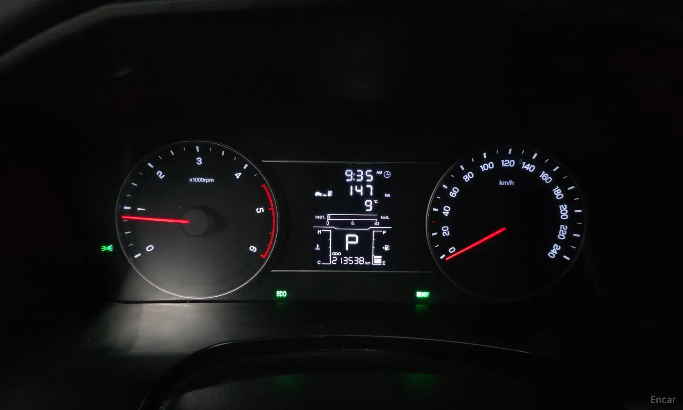 Rexton Sports