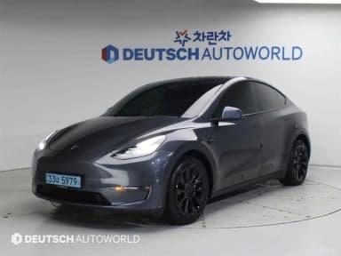 Model Y