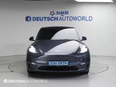 Model Y