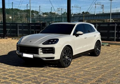 Cayenne (PO536)