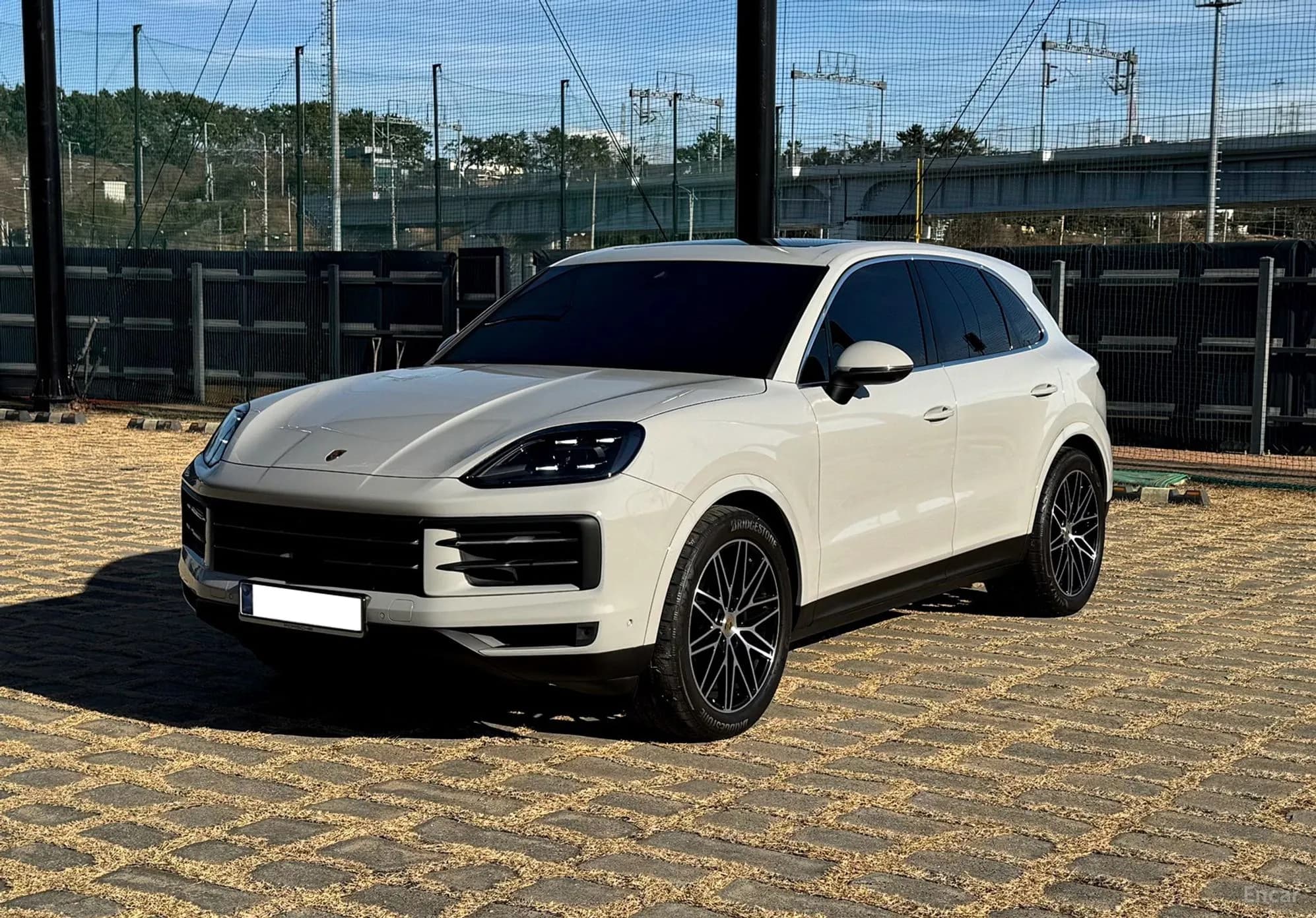 Cayenne (PO536)
