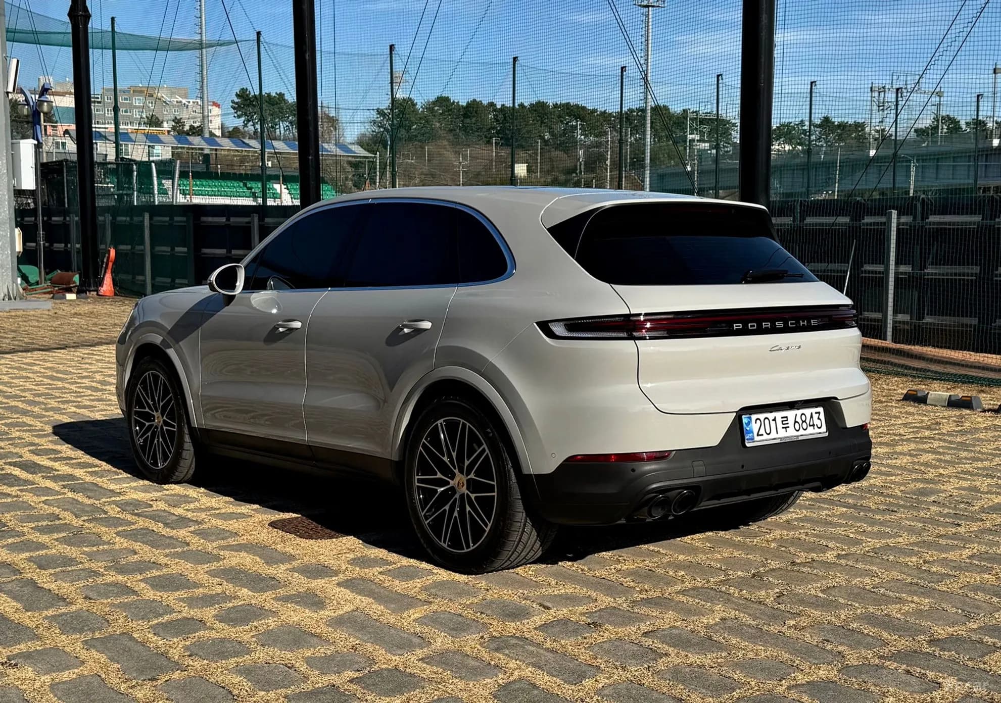 Cayenne (PO536)