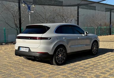 Cayenne (PO536)