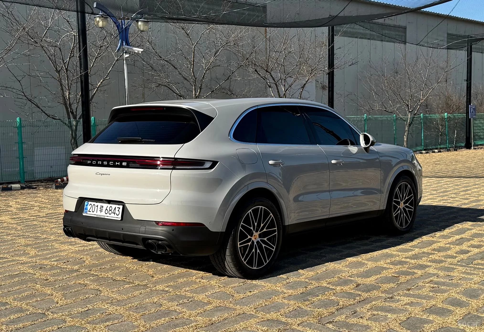 Cayenne (PO536)
