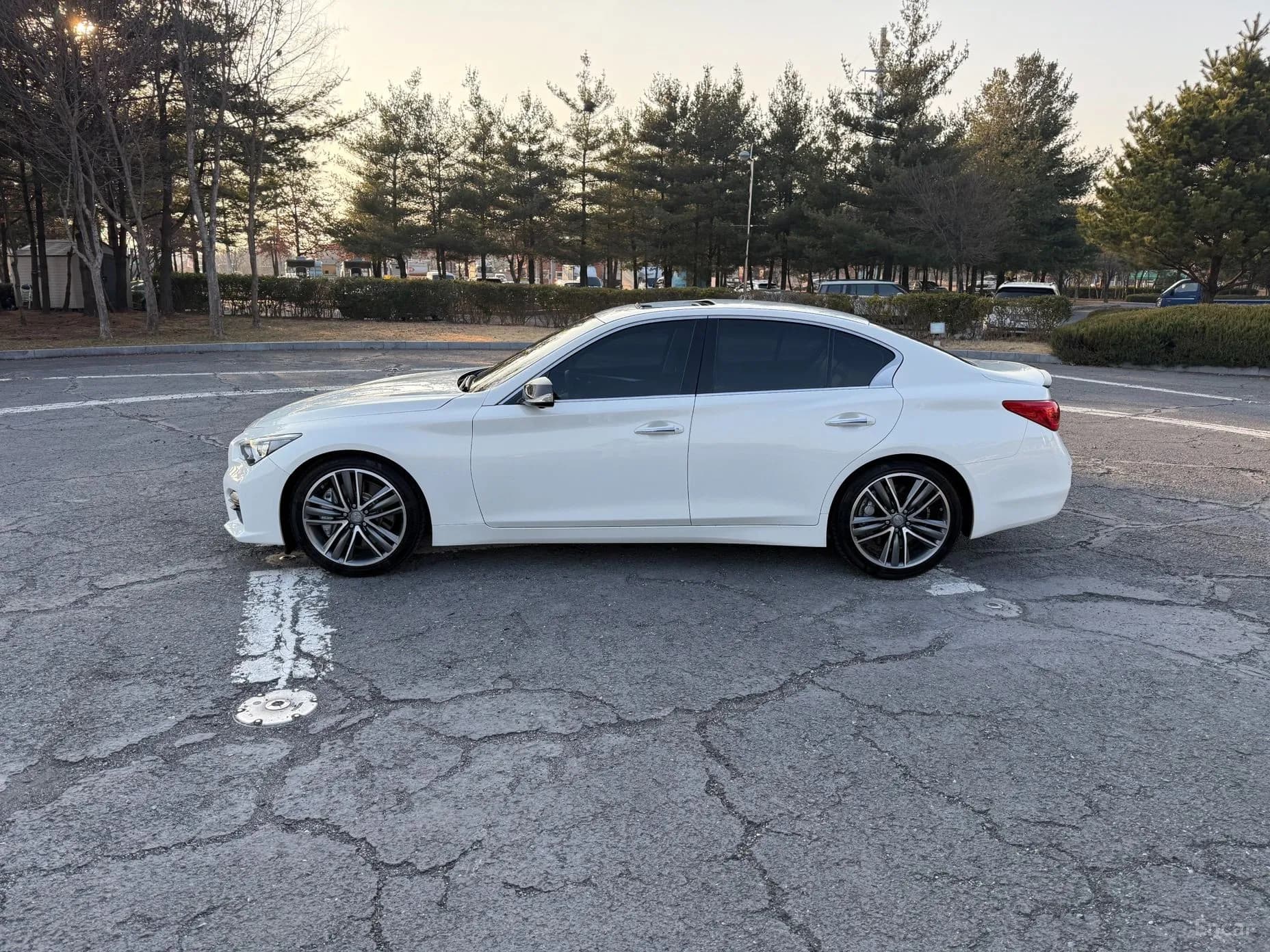 Q50