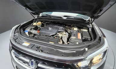 Rexton Sports