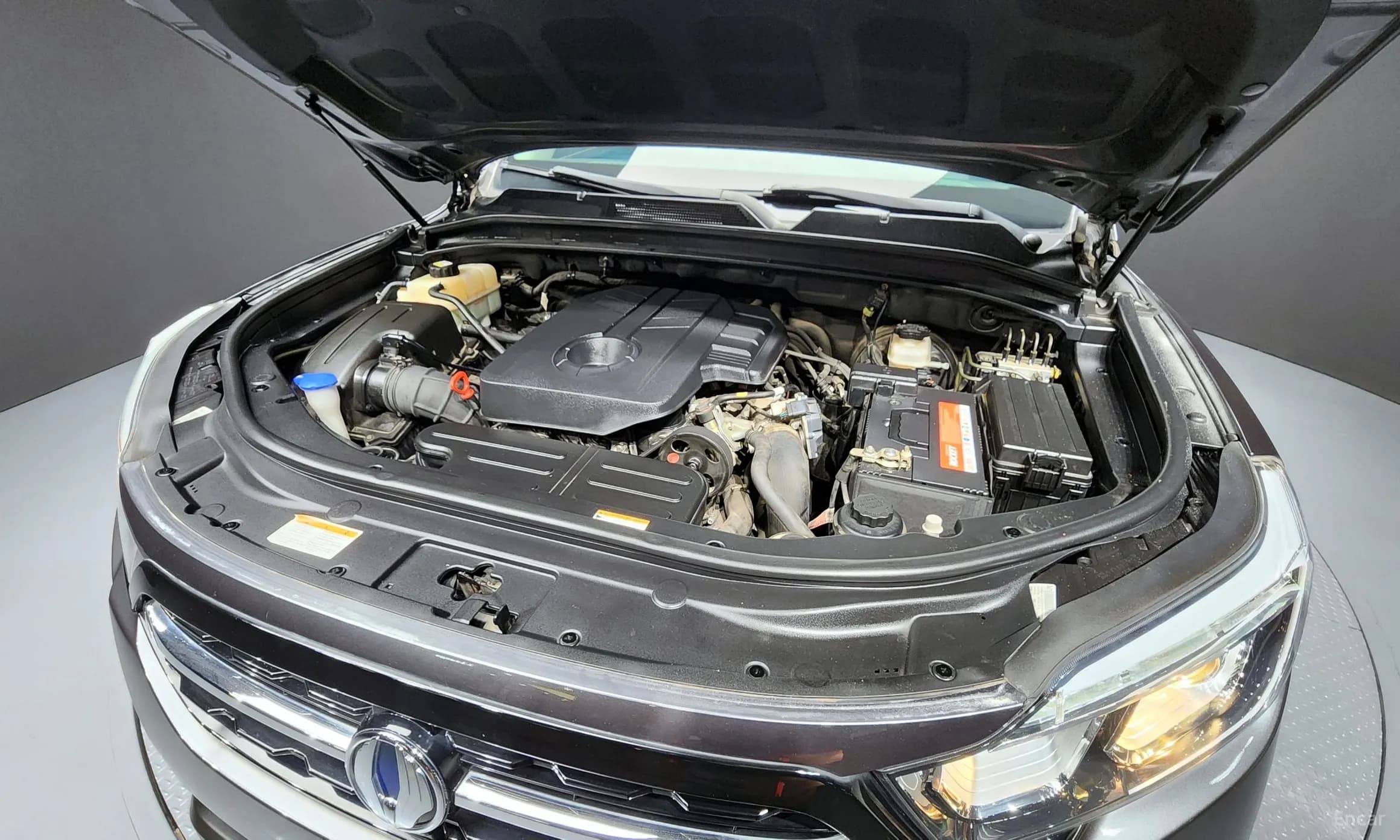 Rexton Sports