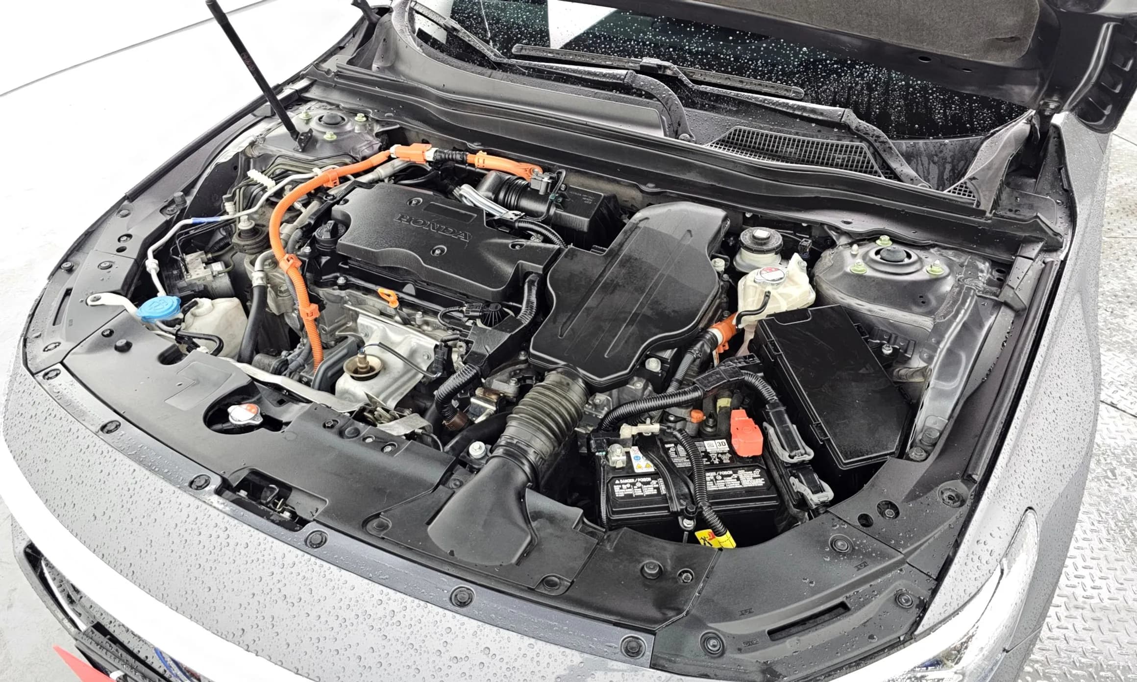 Accord 10th Generation