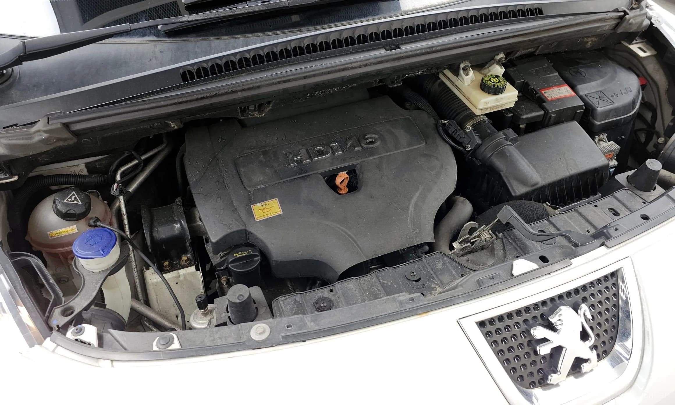 m1Bw200E2YqeygG33_dc2:3007