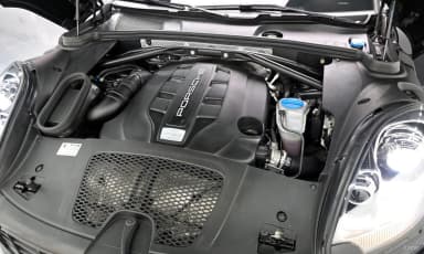 Macan