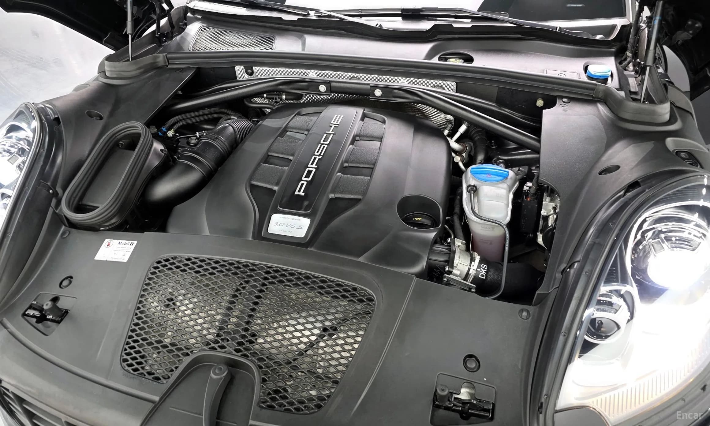 Macan