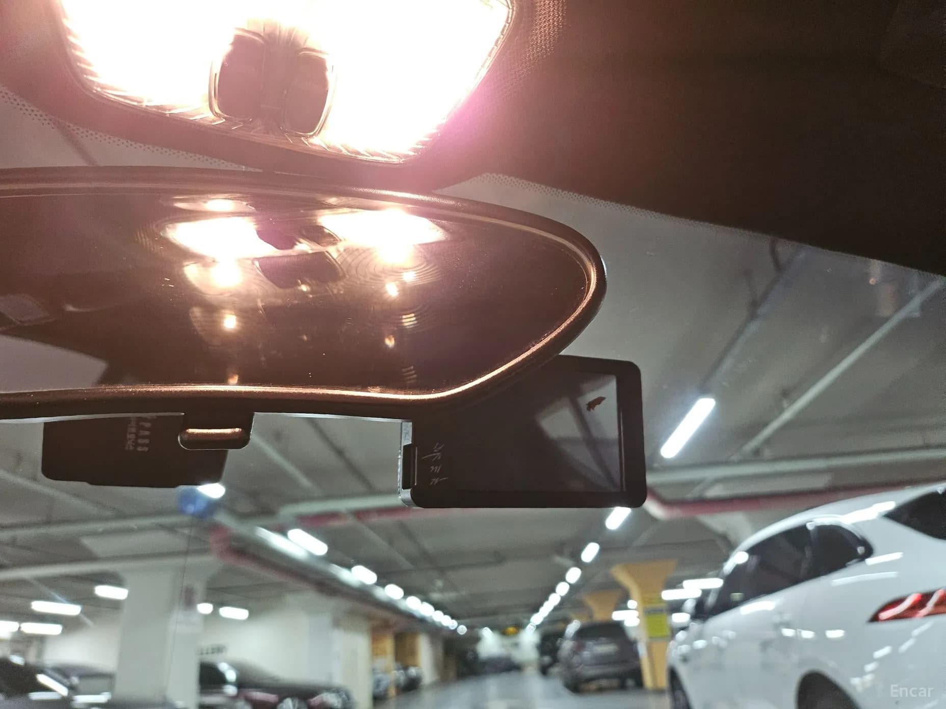 Cayman