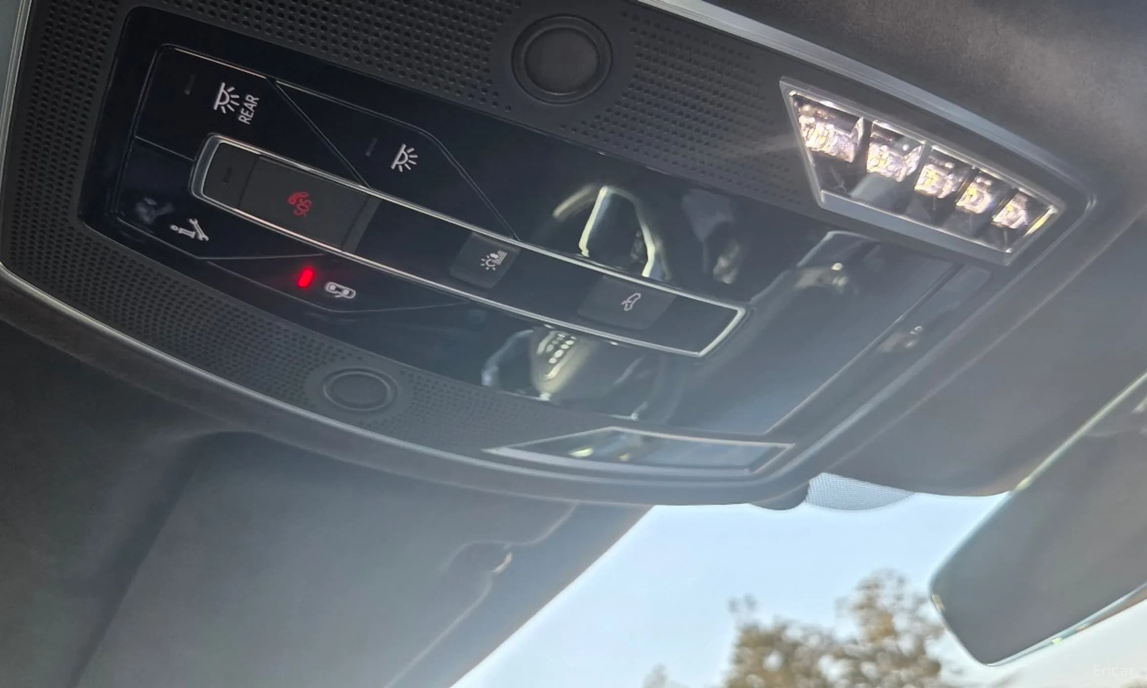 S8 (D5)
