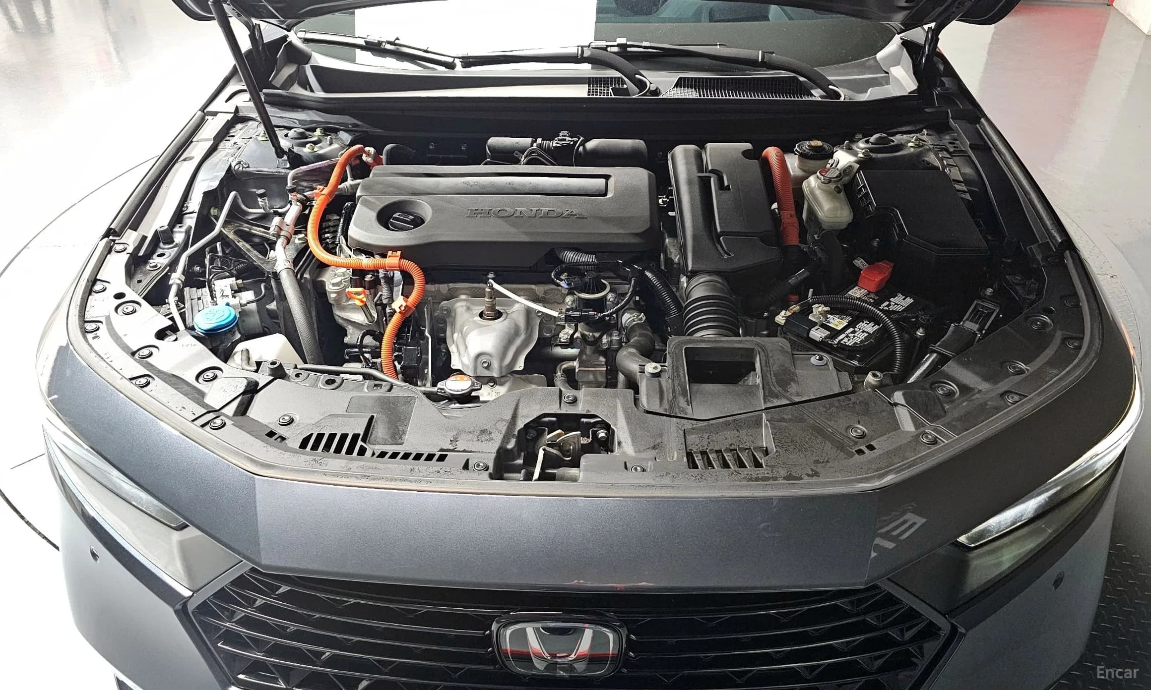 Accord 11th Generation