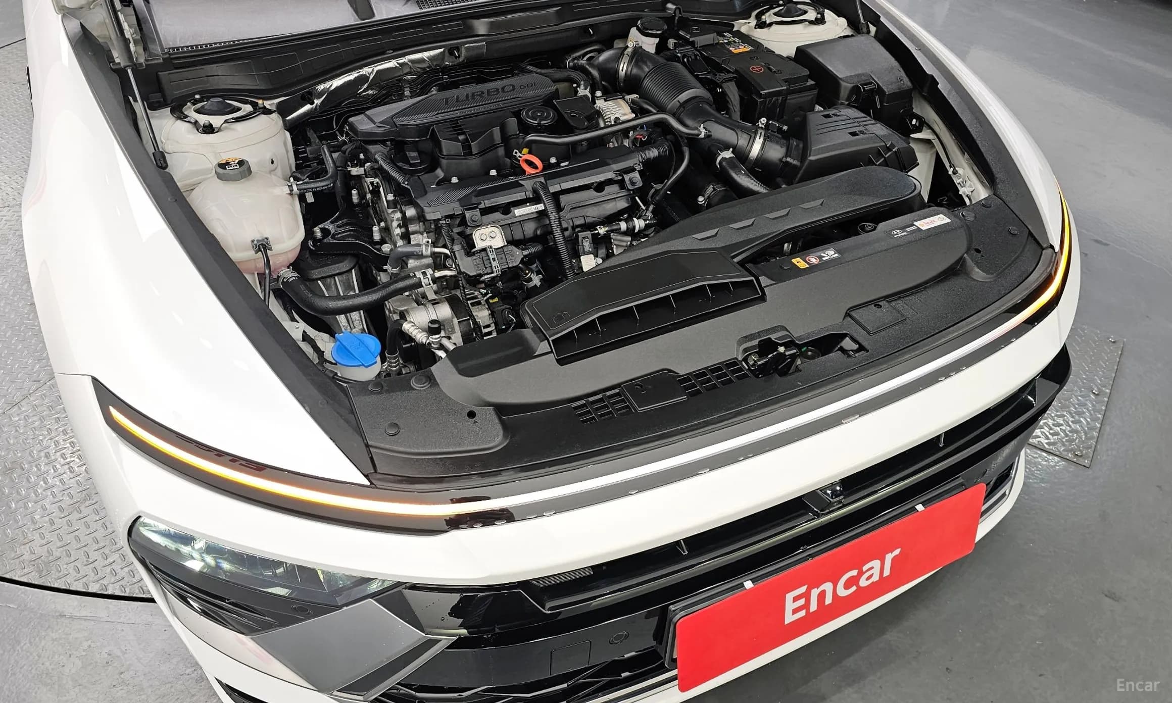 Sonata The Edge (DN8)