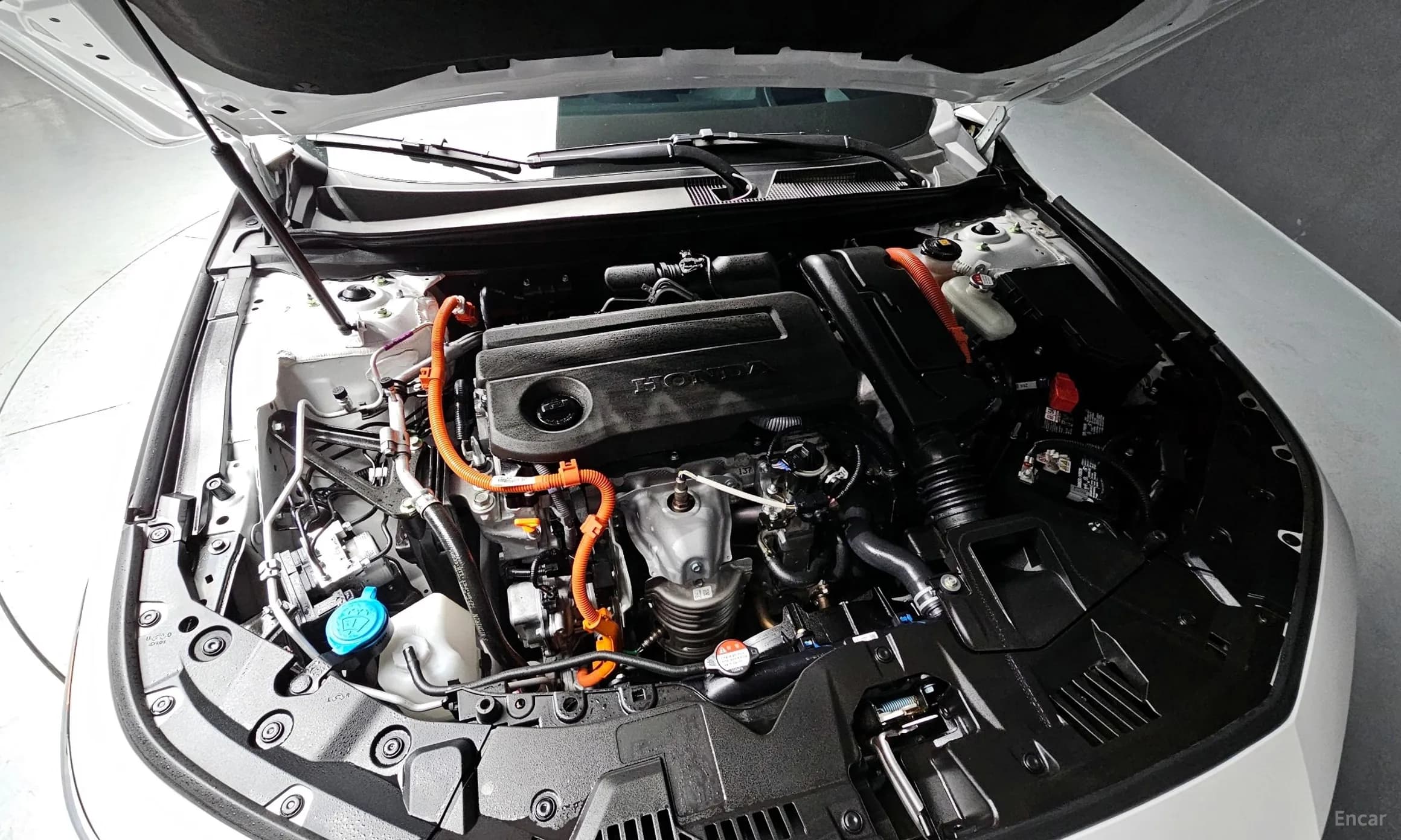 Accord 11th Generation