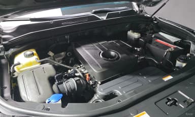 Rexton Sports