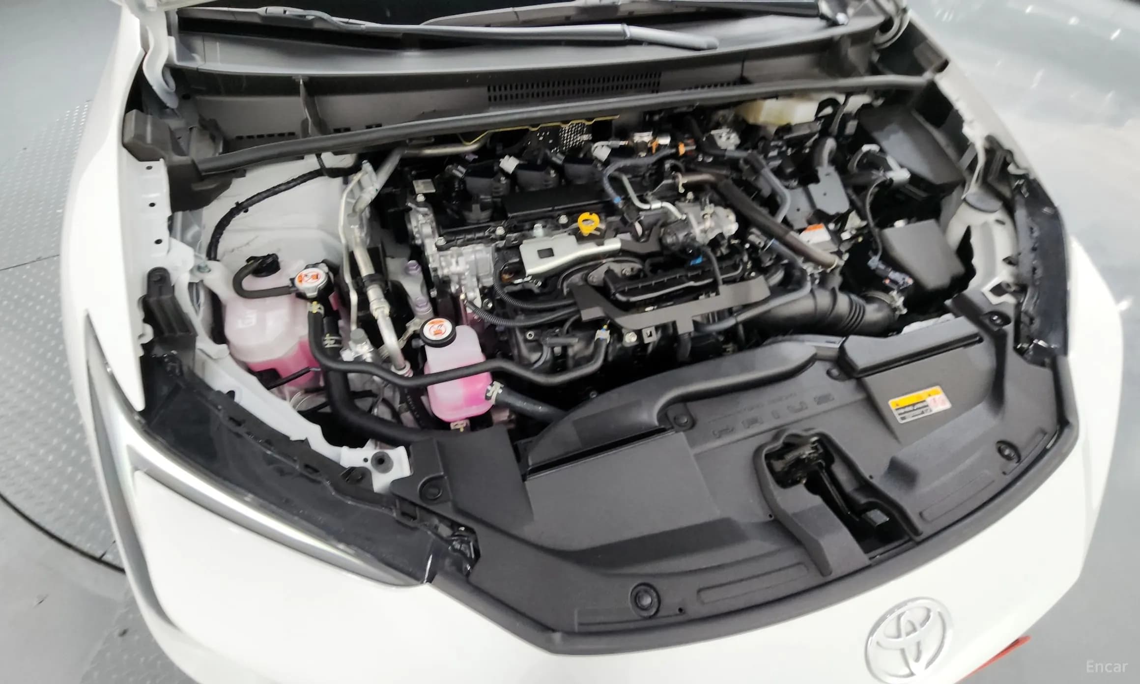 Prius 5th Generation