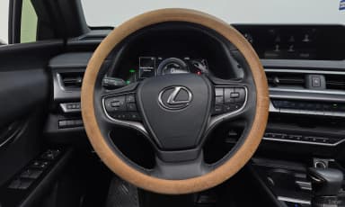 UX250h