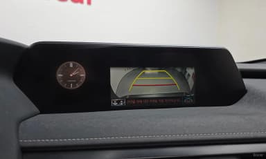 UX250h