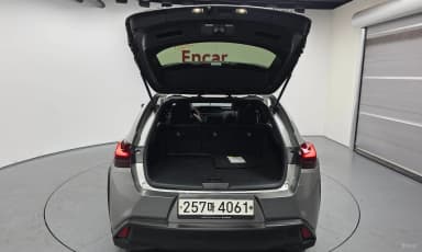 UX250h