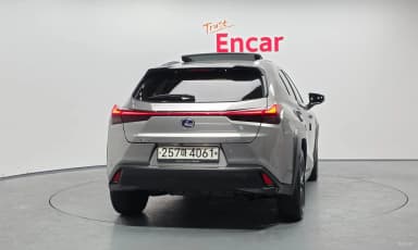 UX250h