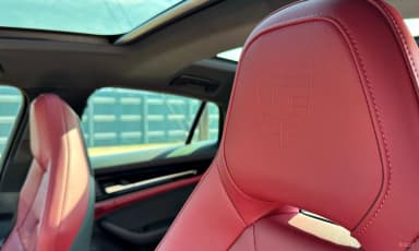 Panamera (976)