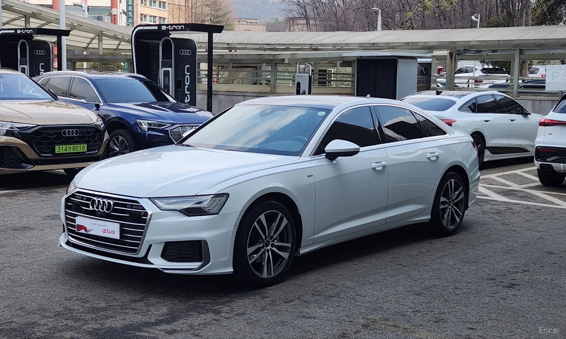 A6 (C8)