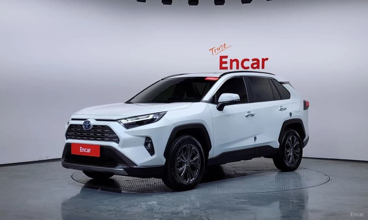 RAV4 5th Generation