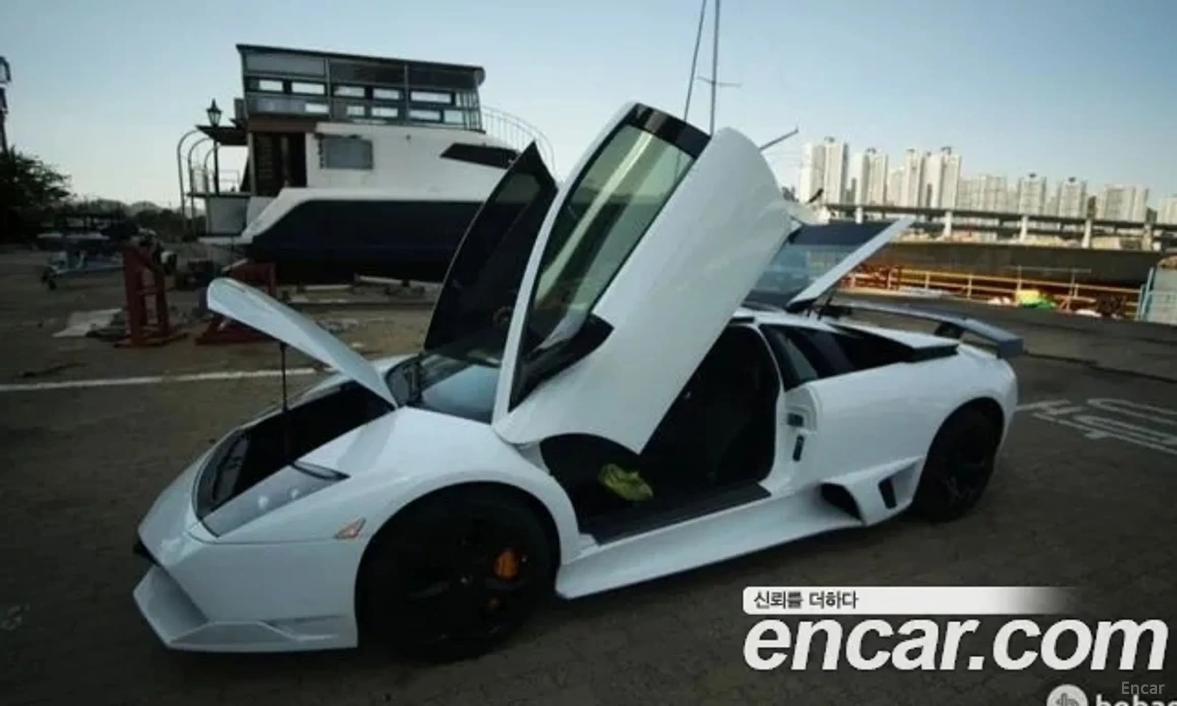 Murcielago