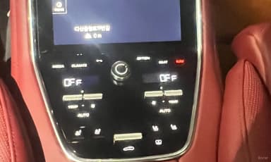 Panamera (971)