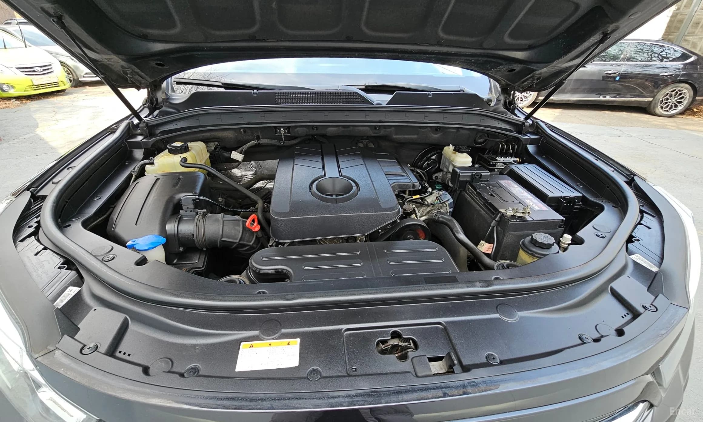 Rexton Sports