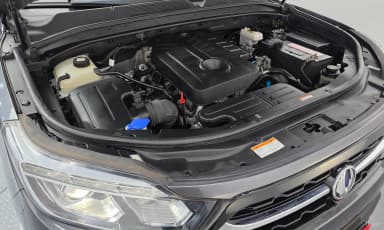 Rexton Sports