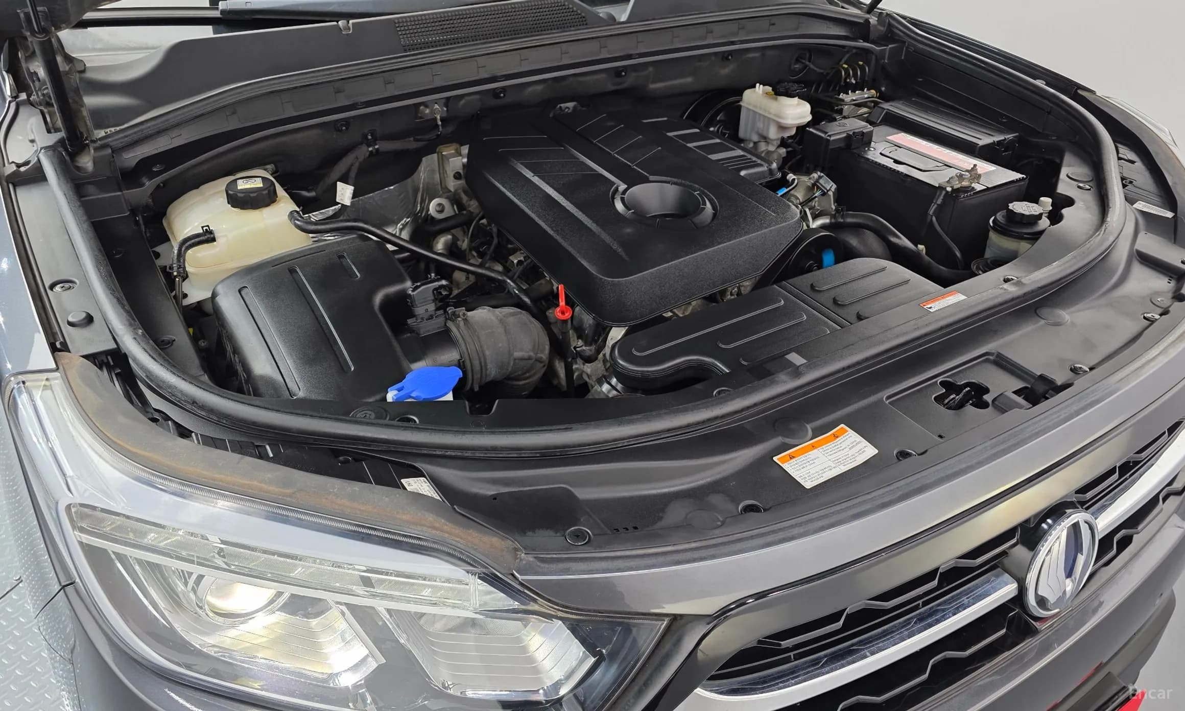 Rexton Sports