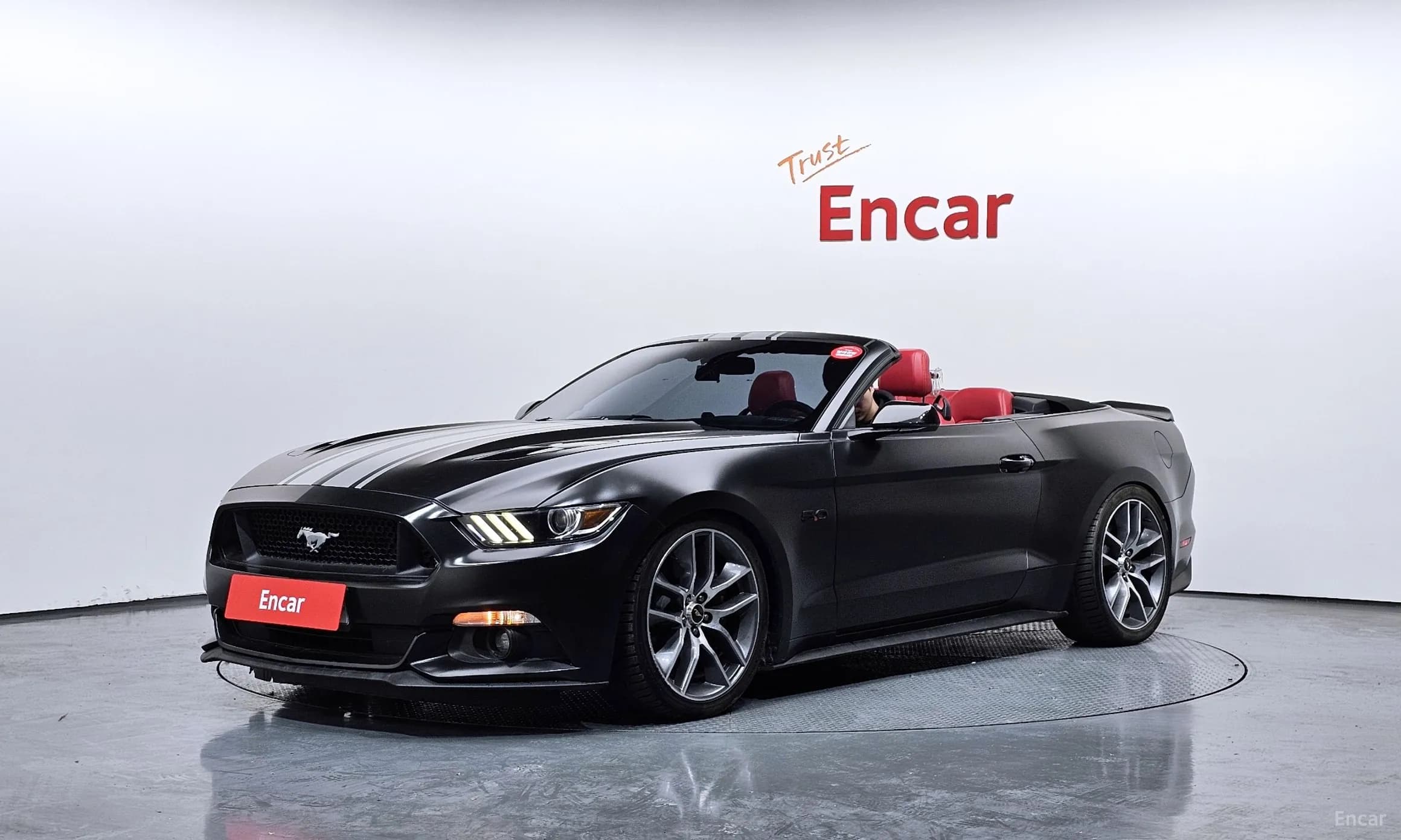 Mustang