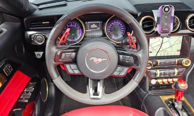 Mustang