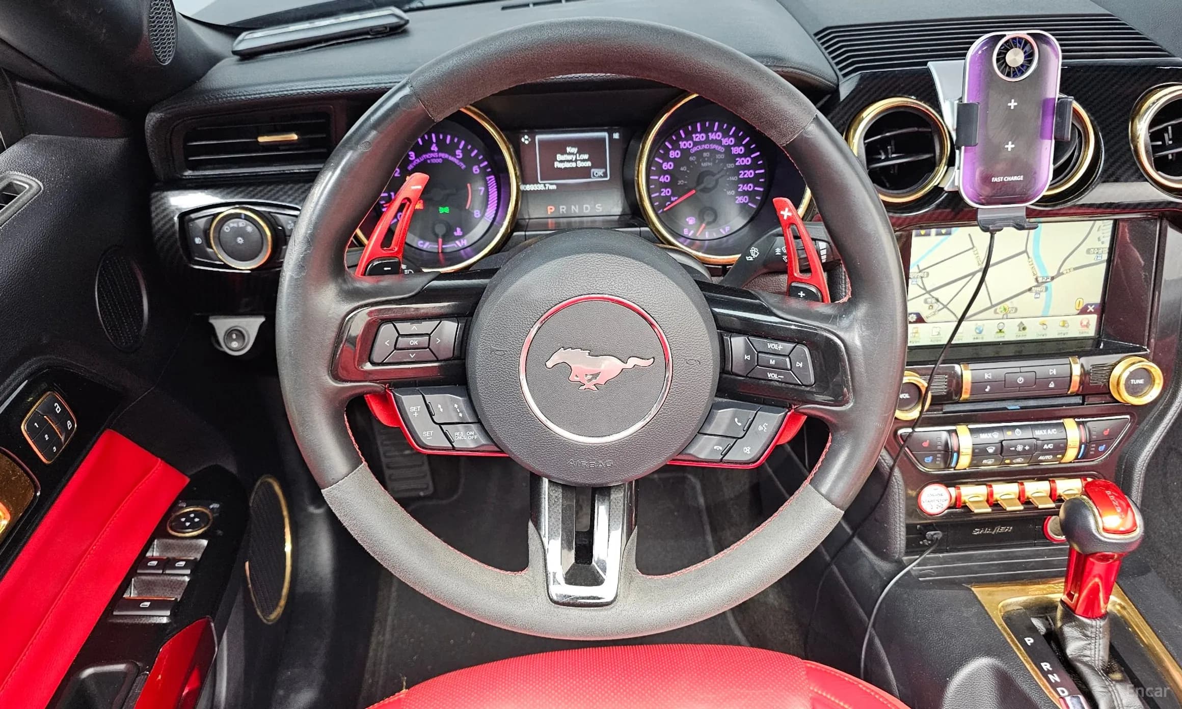 Mustang