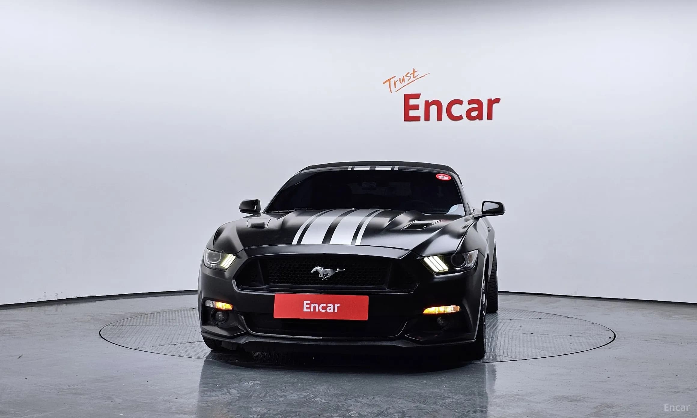 Mustang
