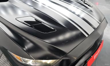 Mustang