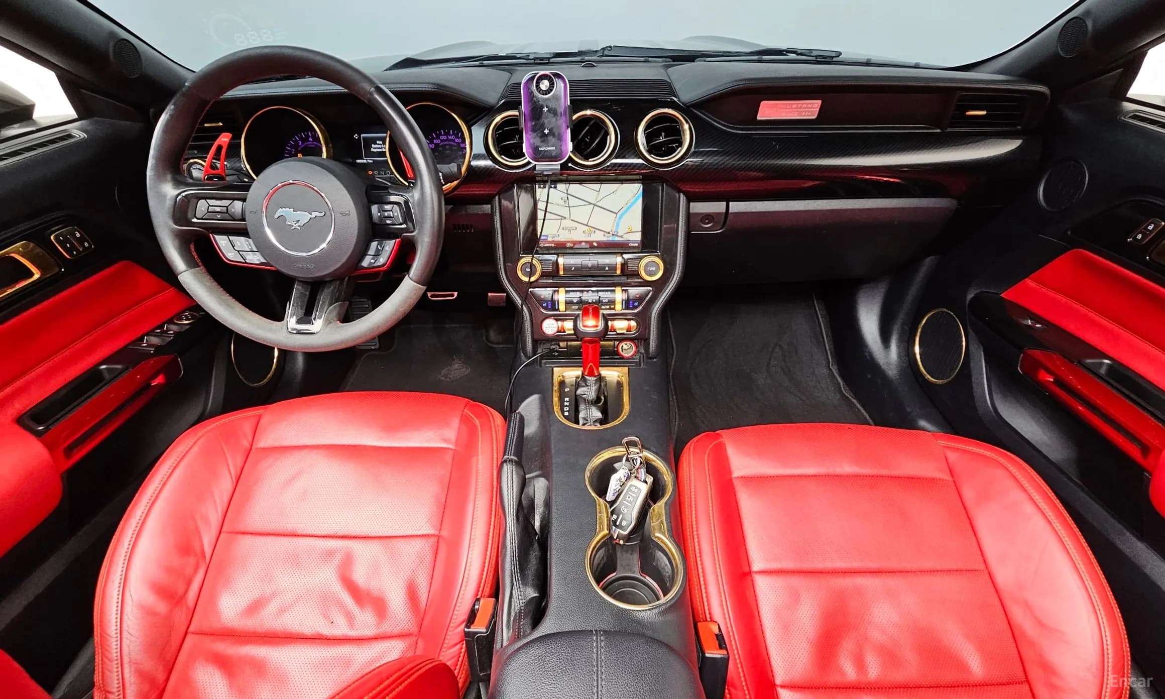 Mustang