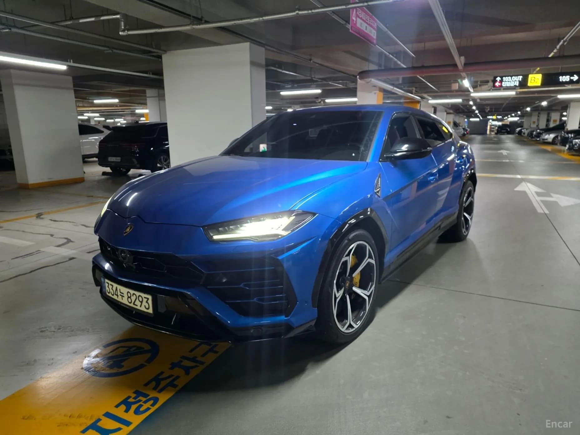 Urus