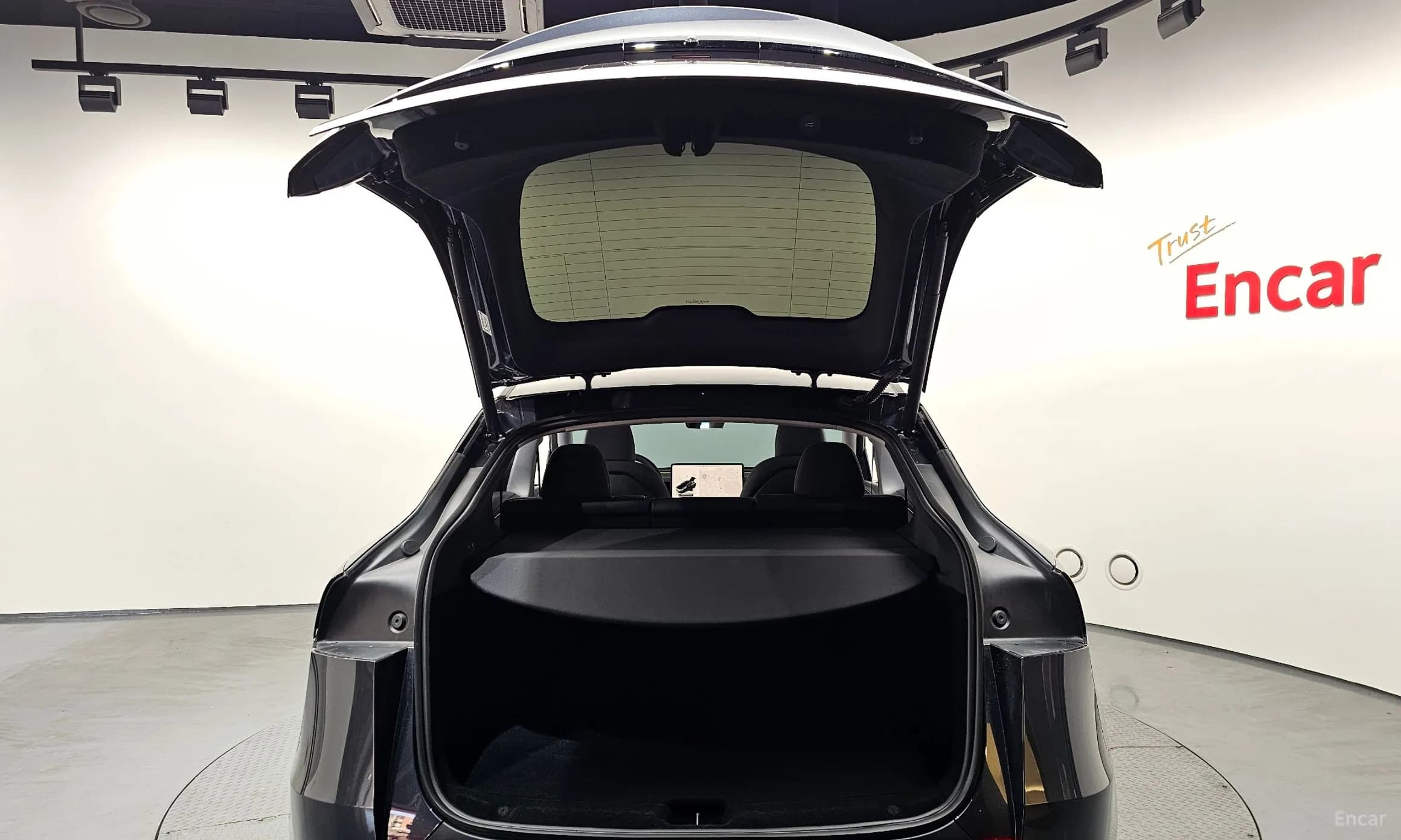 Model Y