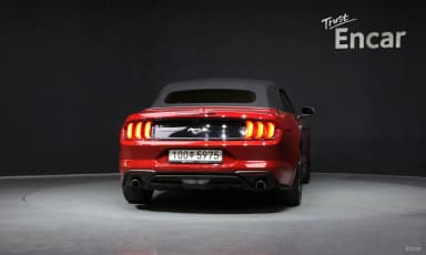 Mustang