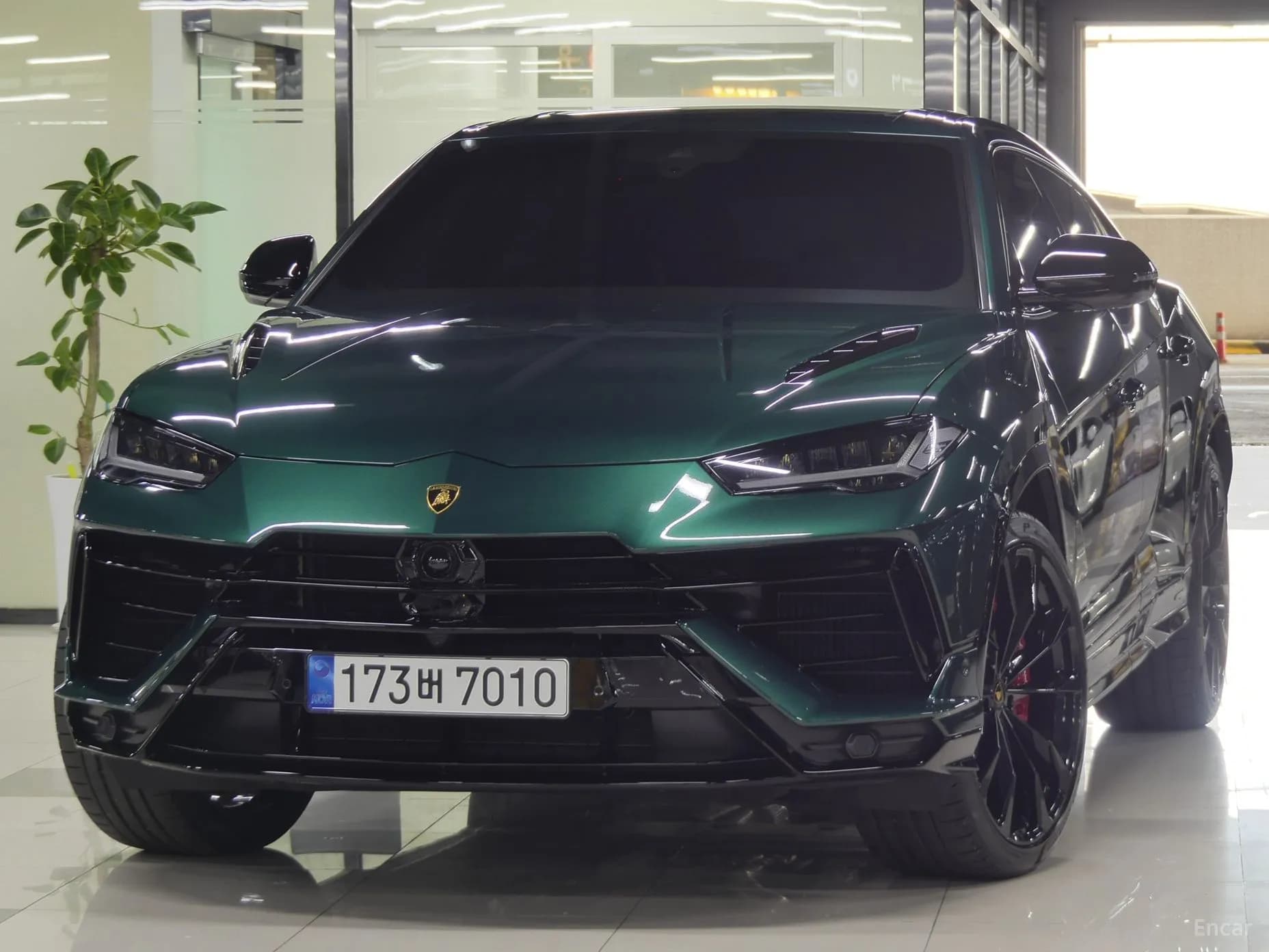 Urus