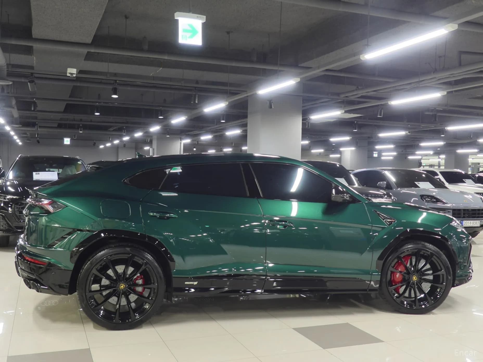 Urus