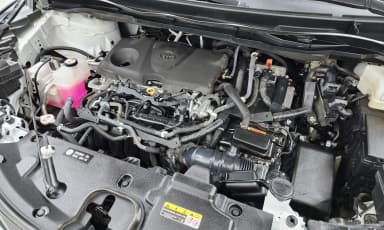 Siena 4th generation