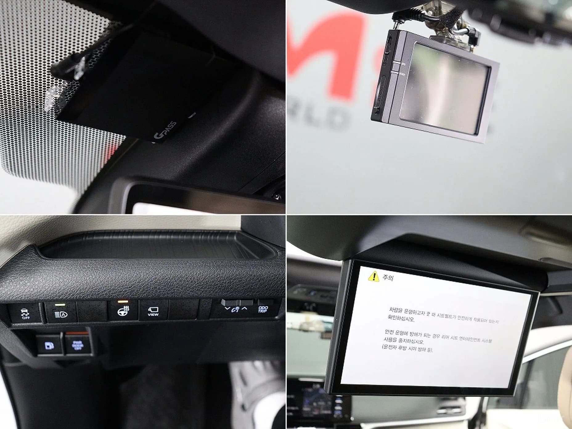 Siena 4th generation